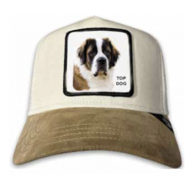 Beanie - The suede st bernard